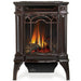 Napoleon Arlington Cast Iron Direct Vent Gas Fireplace Stove with PHAZERAMIC Burner