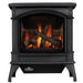 Napoleon Knightsbridge Cast Iron Direct Vent Gas Stove: Powerful, Efficient, Realistic Flames