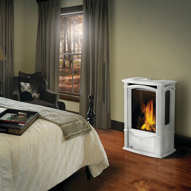 Napoleon Castlemore Cast Iron Gas Stove | Electronic Ignition | Efficient Heating