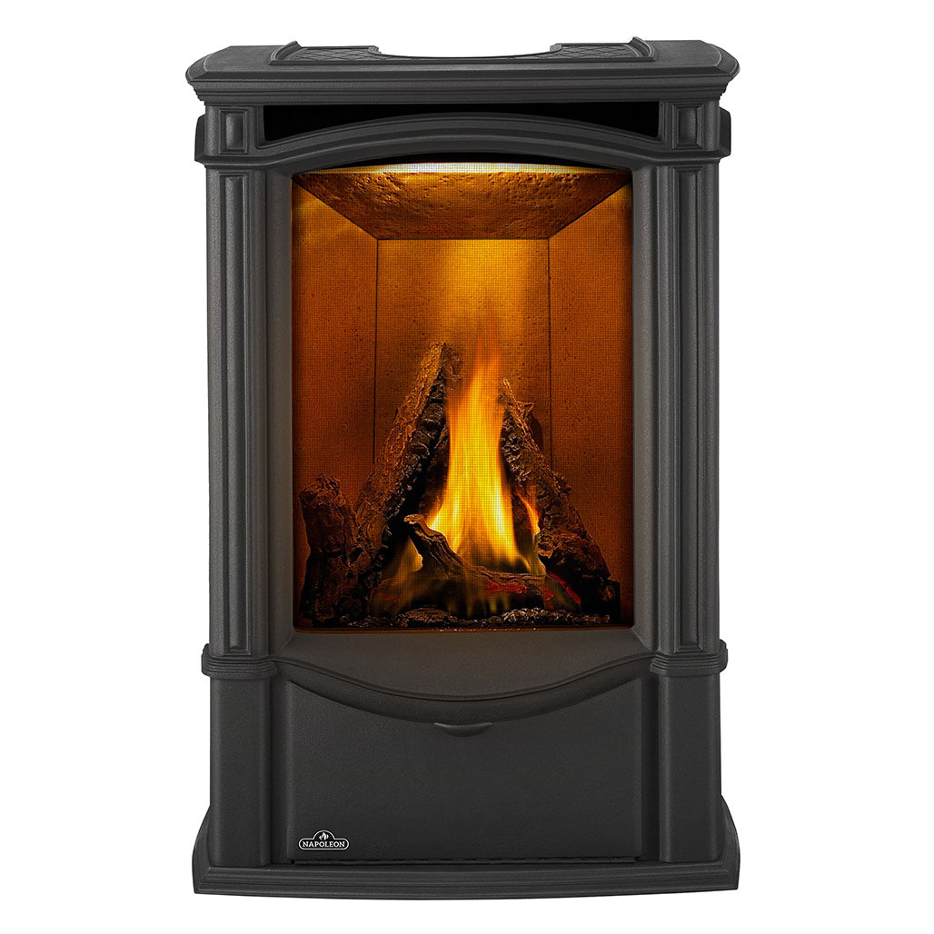 Napoleon Castlemore Cast Iron Gas Stove | Electronic Ignition | Efficient Heating