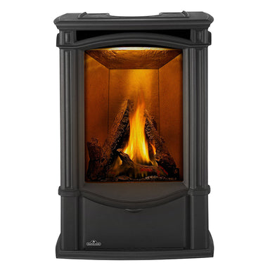 Napoleon Castlemore Cast Iron Gas Stove | Electronic Ignition | Efficient Heating