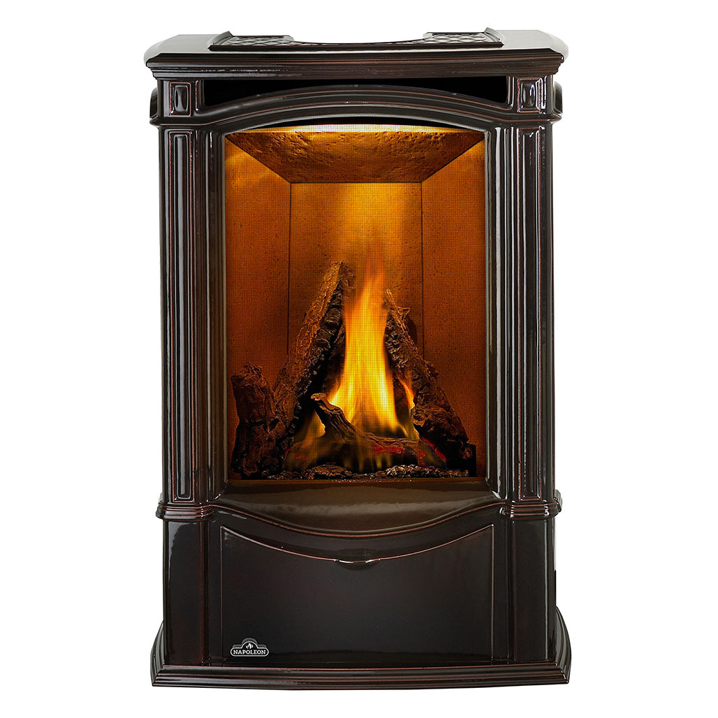 Napoleon Castlemore Cast Iron Gas Stove | Electronic Ignition | Efficient Heating