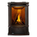 Napoleon Castlemore Cast Iron Gas Stove | Electronic Ignition | Efficient Heating