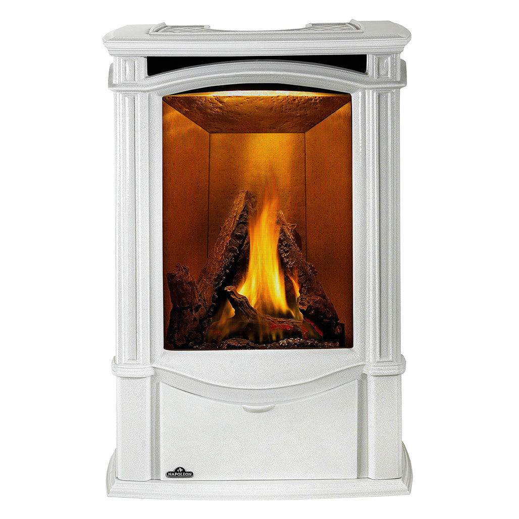 Napoleon Castlemore Cast Iron Gas Stove | Electronic Ignition | Efficient Heating