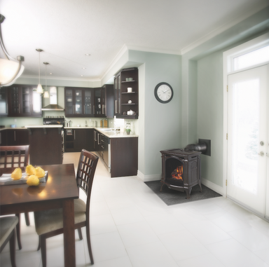 Napoleon Bayfield Cast Iron Direct Vent Gas Stove - Powerful, Classic, Efficient Home Heating