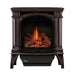 Napoleon Bayfield Cast Iron Direct Vent Gas Stove - Powerful, Classic, Efficient Home Heating