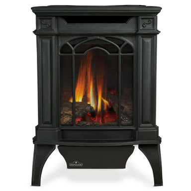 Napoleon Arlington Cast Iron Direct Vent Gas Fireplace Stove Millivolt Ignition