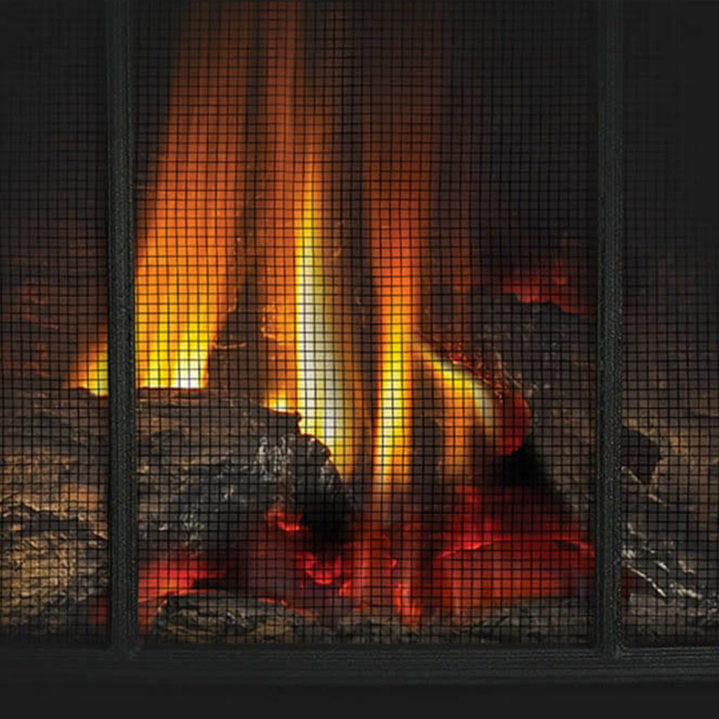 Napoleon Arlington Cast Iron Direct Vent Gas Fireplace Stove Millivolt Ignition