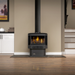 Napoleon Haliburton Compact Direct Vent Gas Stove, 30,000 BTU Radiant Heat