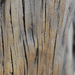 Elementi Warren Table - Propane - OFG307 Redwood Glass Fiber Reinforced Concrete Close Up of Texture and Wood Grain Finish