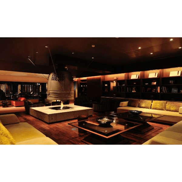 Ecosmart AB8 Ethanol Burner | Fire Pit Surplus