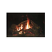 Empire Rushmore 50 Clean Face Direct Vent Gas Fireplace Birch Log Sample Photo