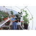 Solexx Harvester Greenhouse Product Interior